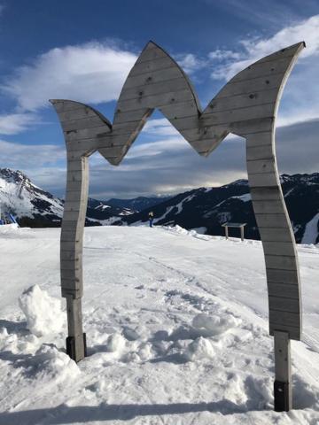 Tauernlodge Sonnblick Top 3 Mühlbach am Hochkönig Buitenkant foto